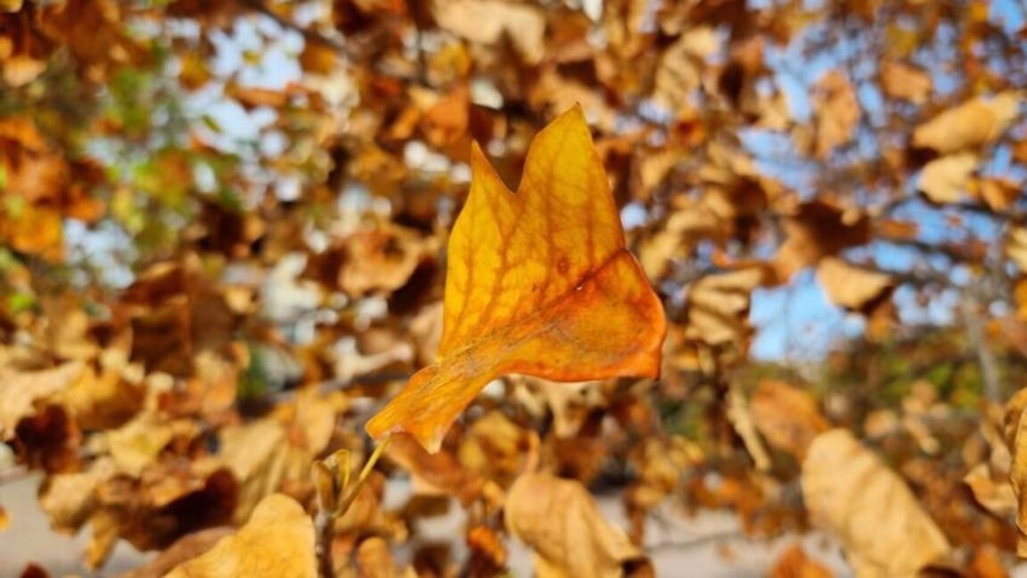 Ηλιόλουστη Τρίτη με θερμοκρασίες από 0 έως 19 βαθμούς