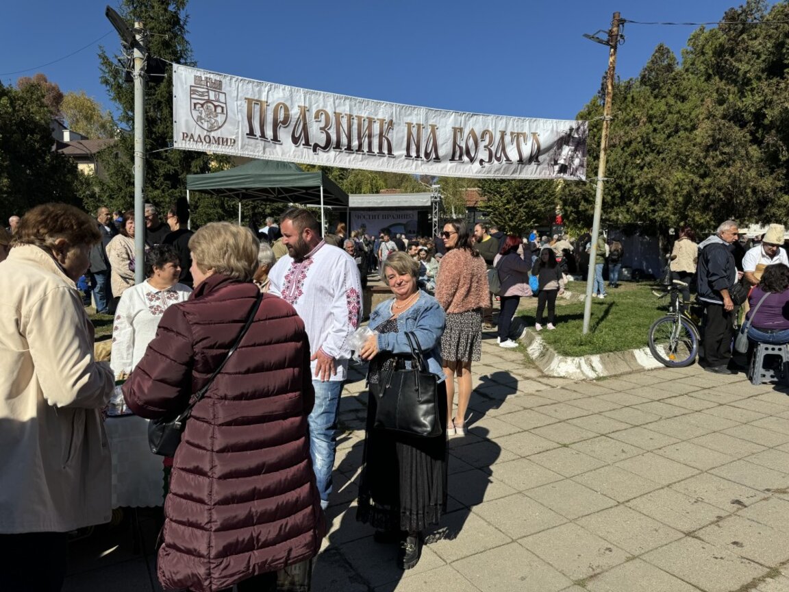 Празник на бозата в Радомир през 2024 г.