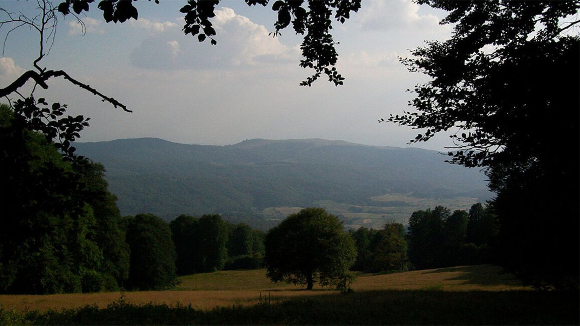 „Wie schön du bist, mein Wald“