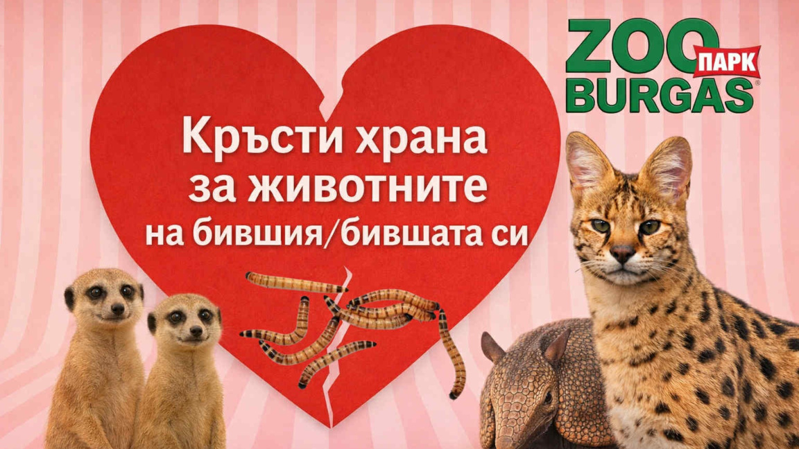 Бургаският зоопарк с нестандартна инициатива за Свети Валентин