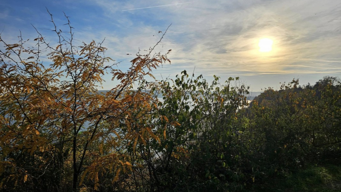 Зимно слънце