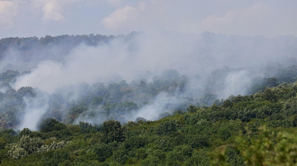 Повече от 1500 дка гори са изгорели само през юли в Централна Северна България