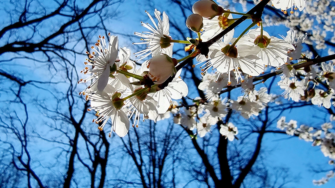 „Сюжети от деня“ с Агнес Манова