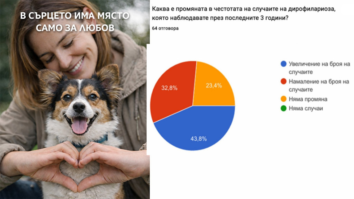 Комарът, който може да зарази кучето ви със сърдечен червей, е микроскопичен