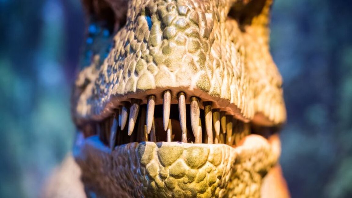 Dinozauri în mărime naturală în Parcul Bacinovo