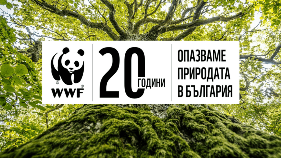 WWF − една от най-големите природозащитни организации у нас − навърши 20