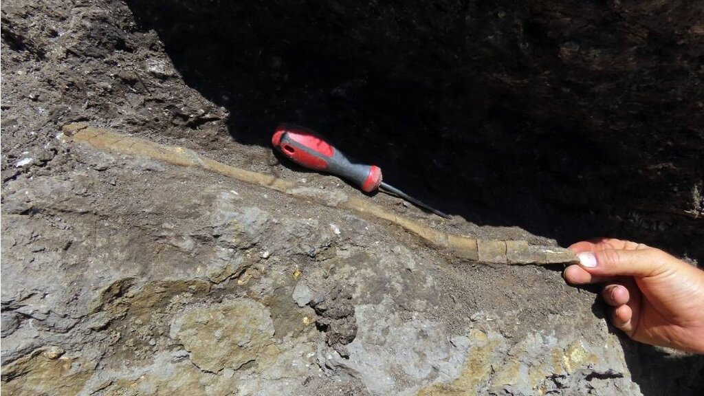 У близини града Трна откривени остаци диносауруса