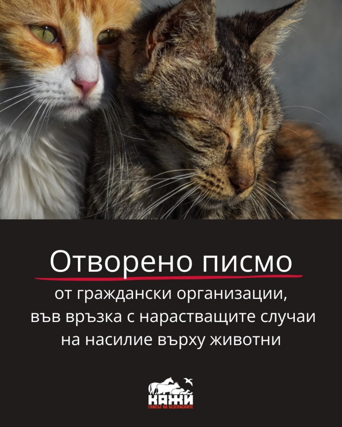 Сдружение КАЖИ предлага конкретни мерки срещу насилието върху животните
