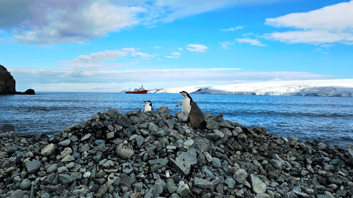 Проф. Христо Пимпирев: 34-ата експедиция на Антарктида е една от най-успешните