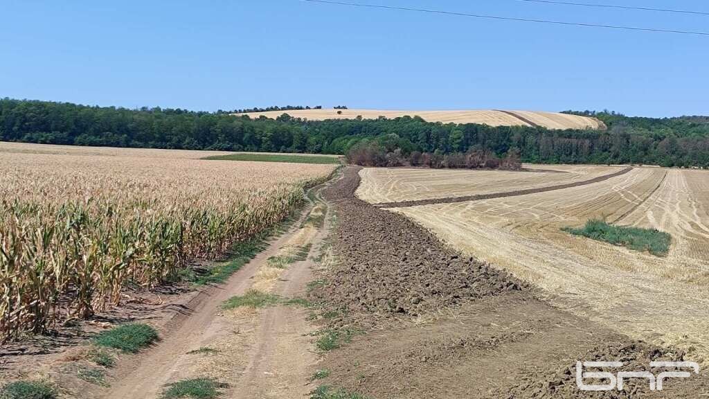 Пожар по време на жътва – спасена реколта и глоби за спасителите