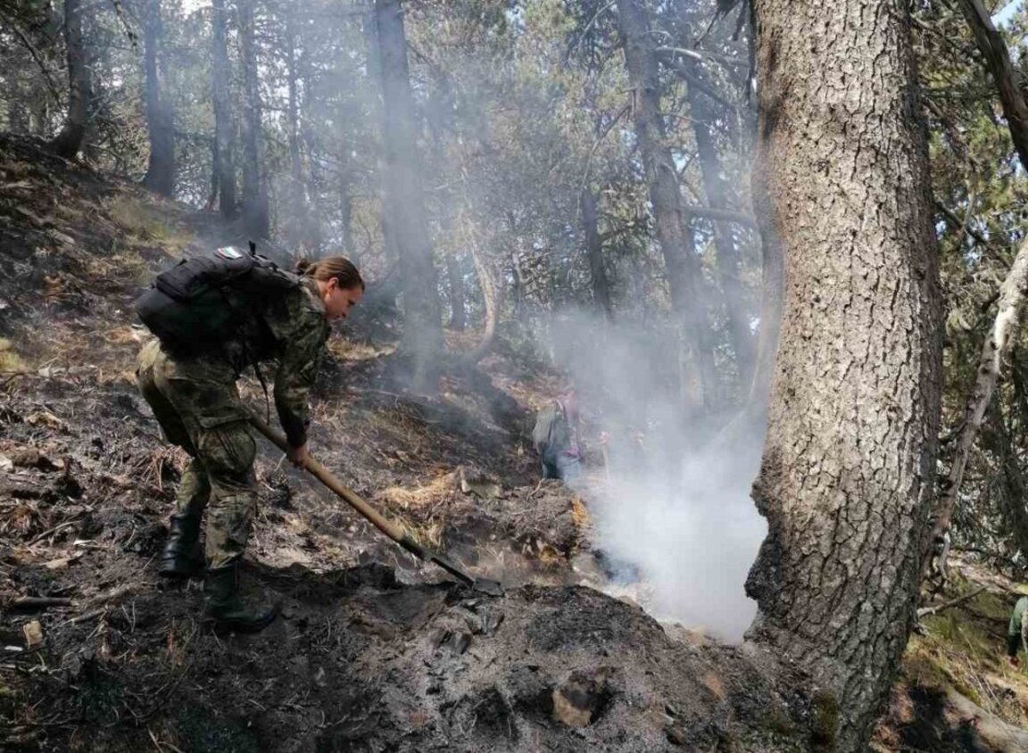 Военнослужещи от Сухопътните войски продължават да участват в гасенето на пожара в планината Славянка край село Голешово.