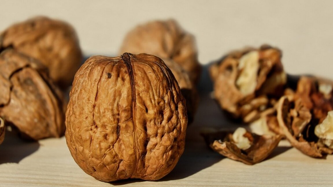 Орах – снага за мозак, радост за стомак...