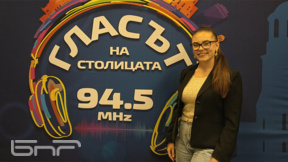 Как държавата и НПО помагат на деца без родители? - информация и срокове 
