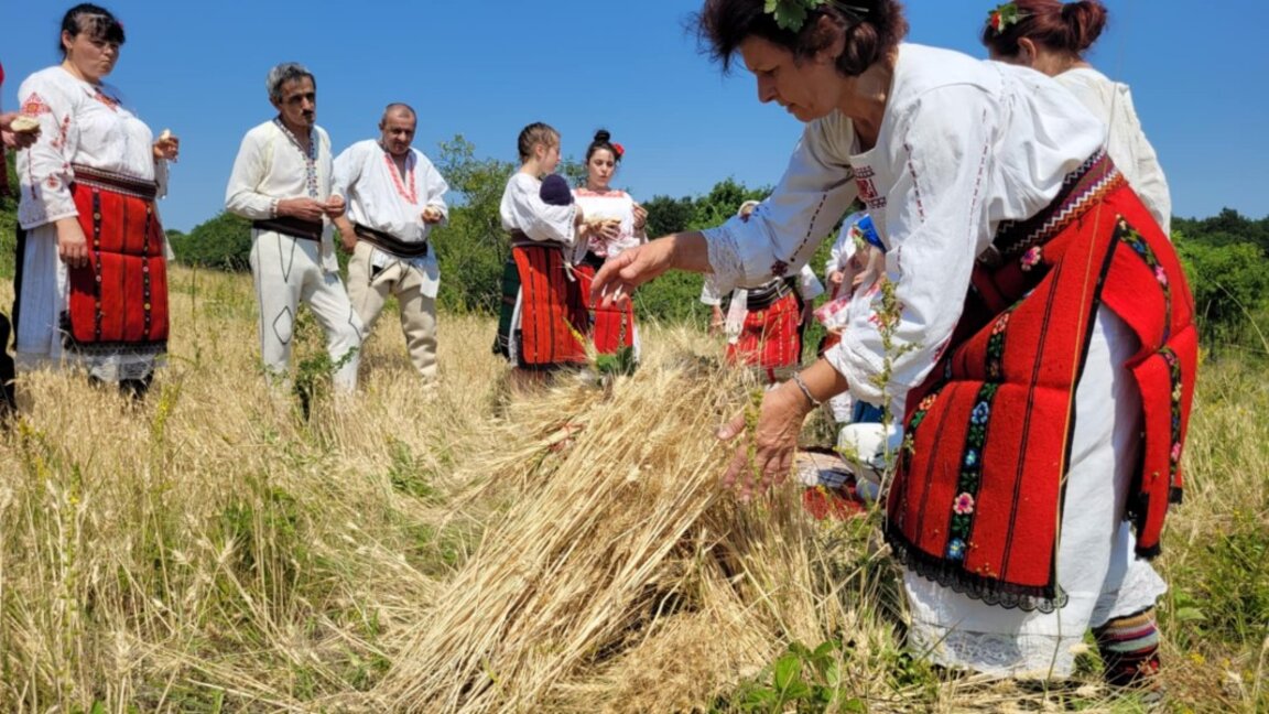 Ритуално дадоха старт на жътвата в Шишенци