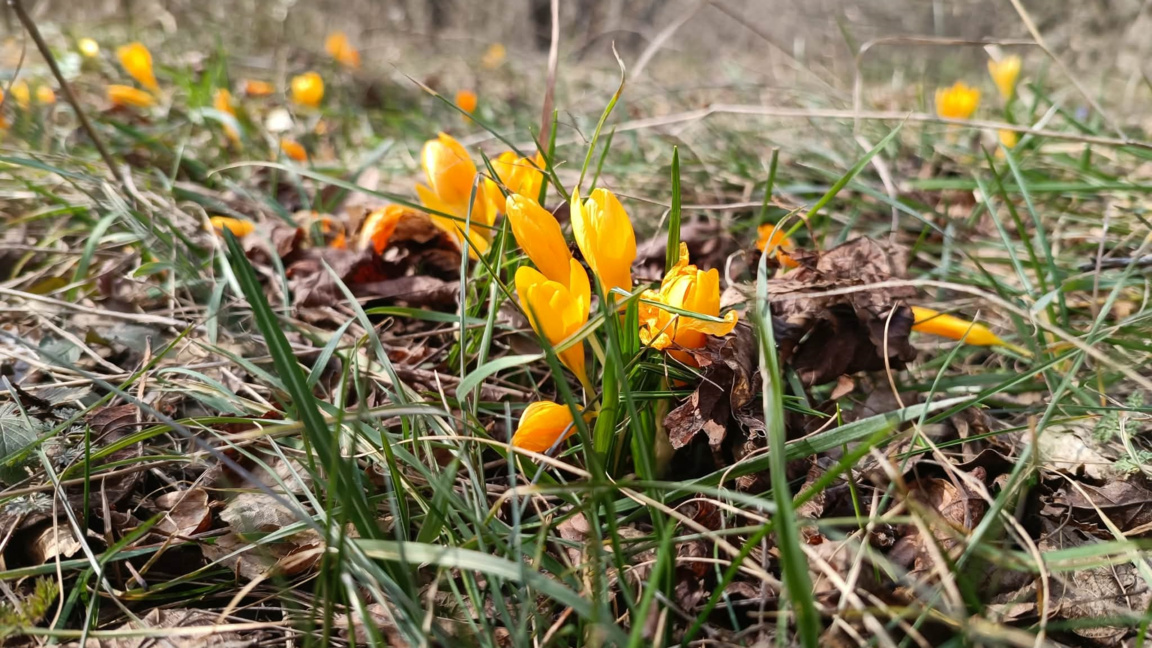 Хладно и облачно 