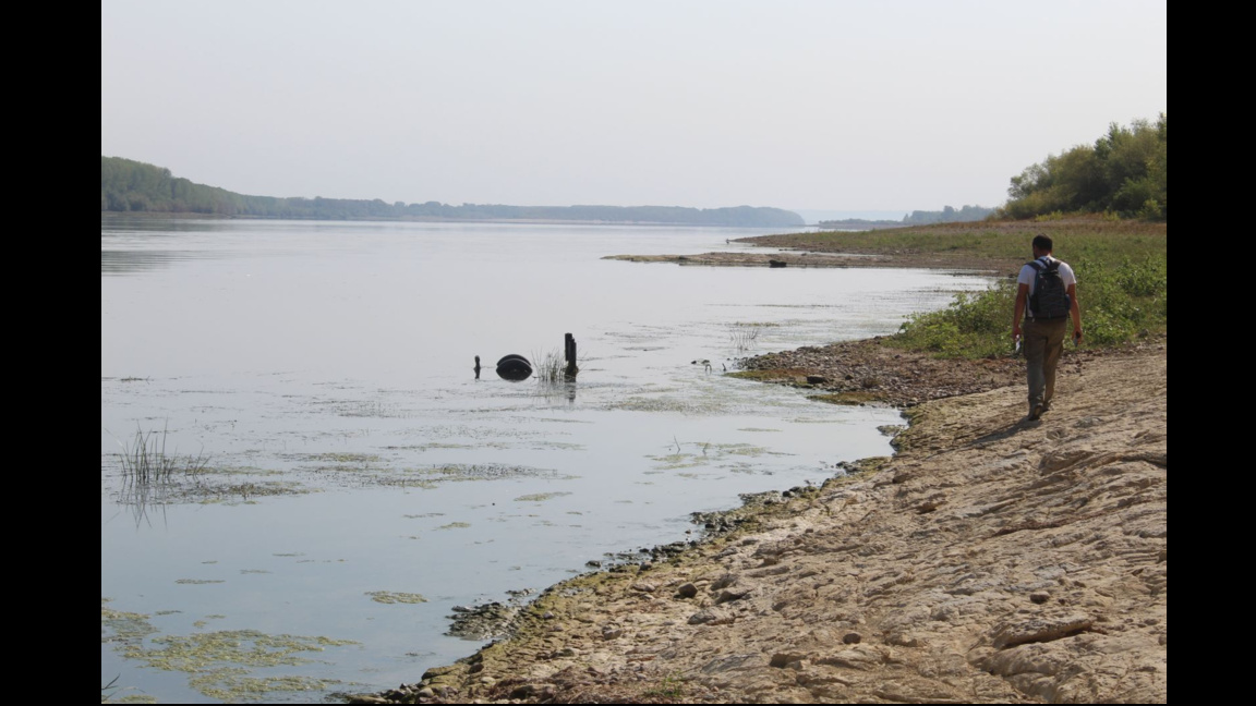 Какво разкриха оттеглилите се води на Дунав от Видин до Лом