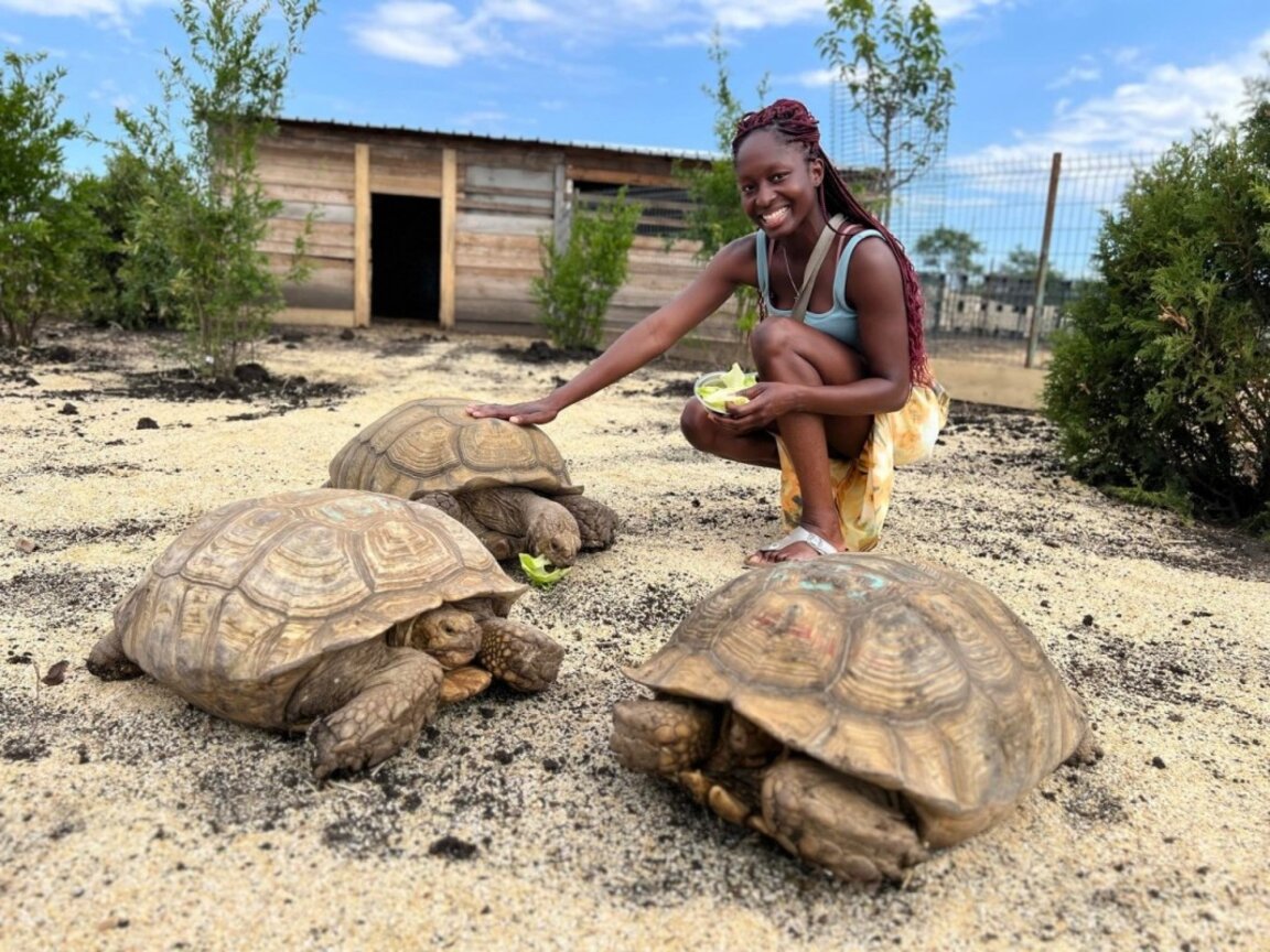 Най-голямата костенурка на Балканите е в бургаския зоопарк