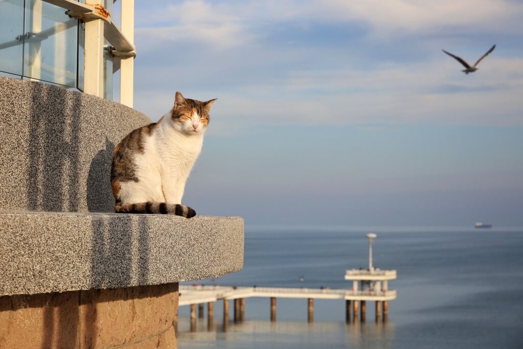 Прогноз погоды на 6 августа