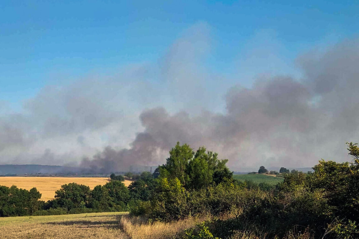 В община Болярово няма активни огнища на пожари в близост до населени места