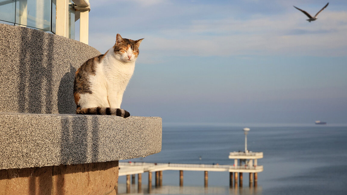 Времето ще бъде облачно, но топло