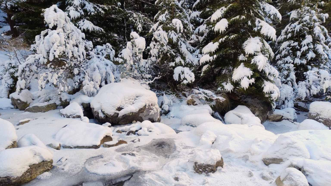 Добри условия за туризъм в планините 