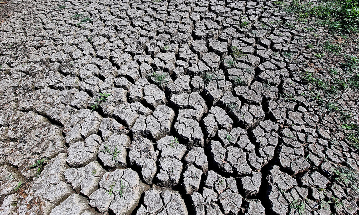 Еще в 2001 году в Болгарии принята Программа по борьбе с засухой, но указанные в ней меры не выполняются