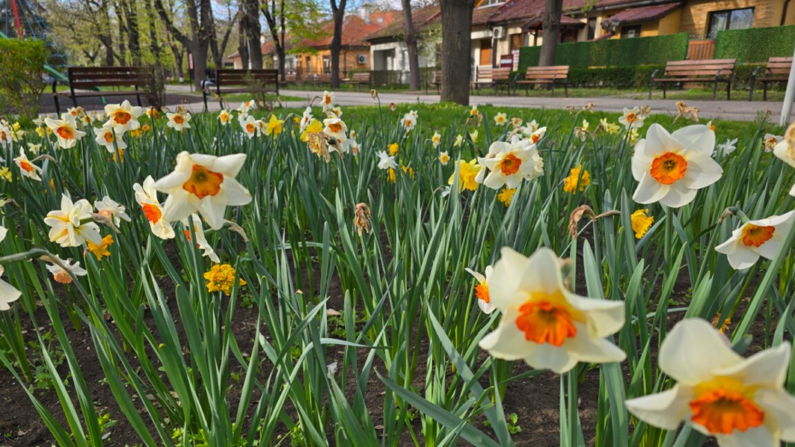 По-хладна неделя