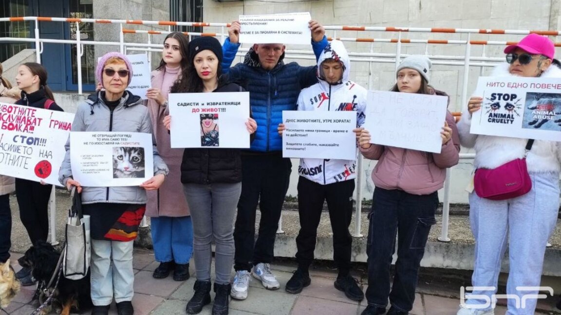 Стотици граждани поискаха отново най-строги наказания за насилниците на животни