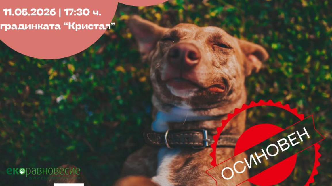 Столичната община и "Екоравновесие" откриват фотоизложбата "Вече съм вкъщи"