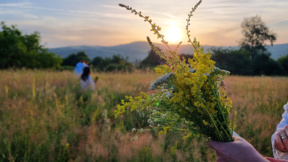La Saint Jean d’été : à l’heure des feux de solstices et du culte du Soleil