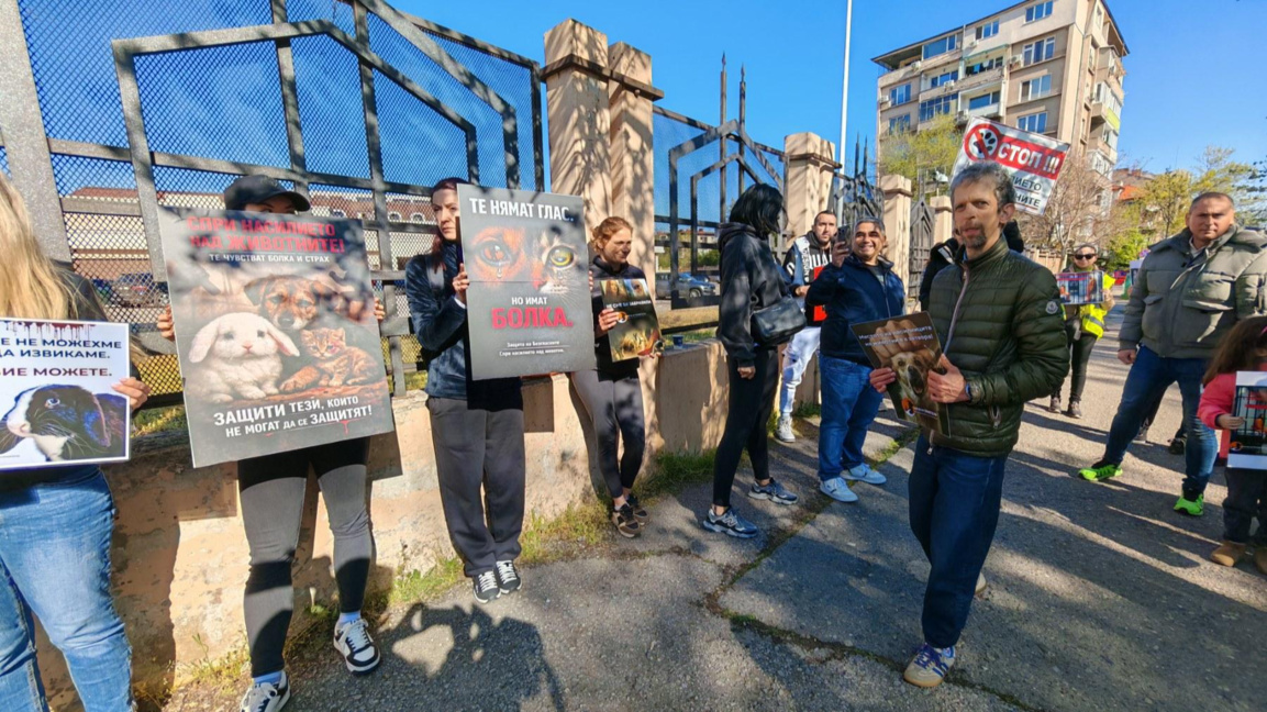 Протестиращи в София искат ефективни присъди за насилие над животни