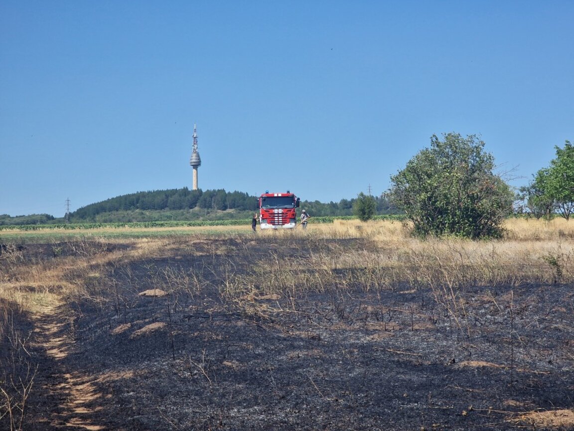138 пожара са ликвидирани през изминалото денонощие в страната