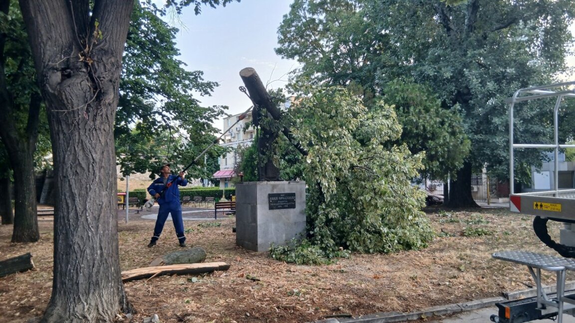 Клон падна върху паметника на Иван Срацимир във Видин
