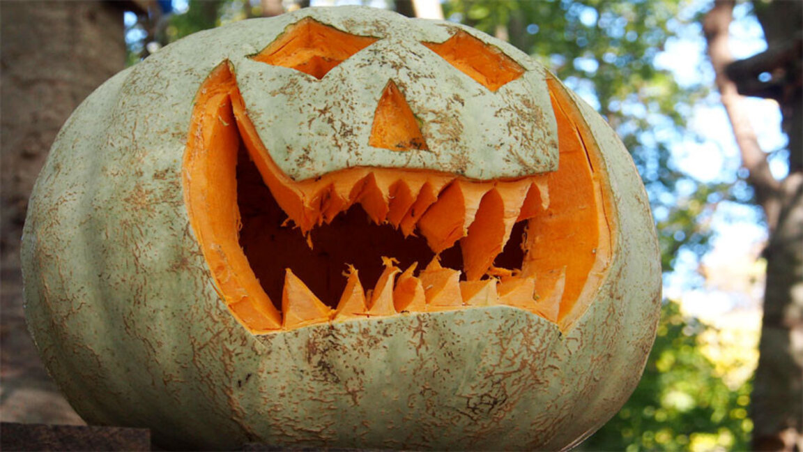 След кметската забрана... Масово празнуване на Хелоуин в Елин Пелин