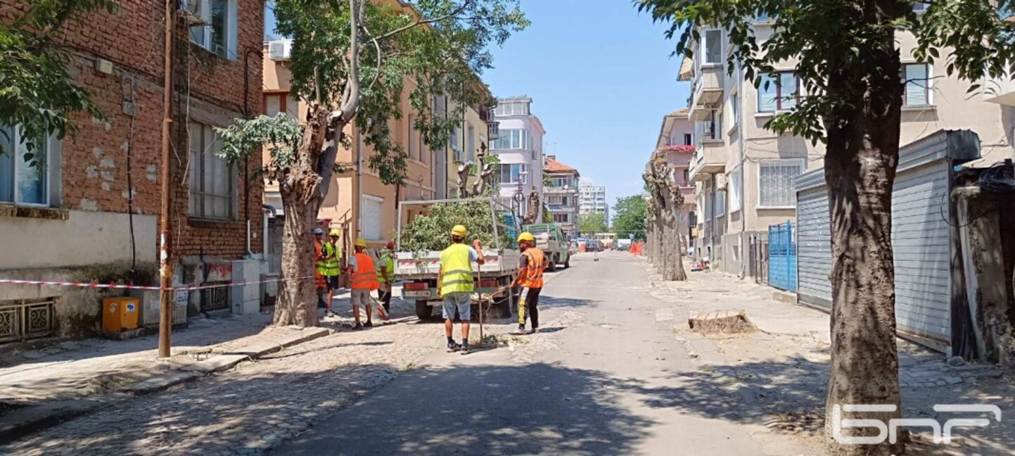 Граждани се обявиха против сечта на дървета по улица „Проф. Асен Златаров“