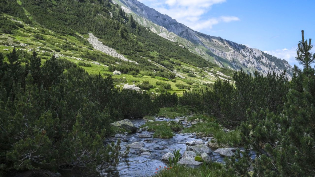 Între bogăția naturii și provocările dezvoltării durabile