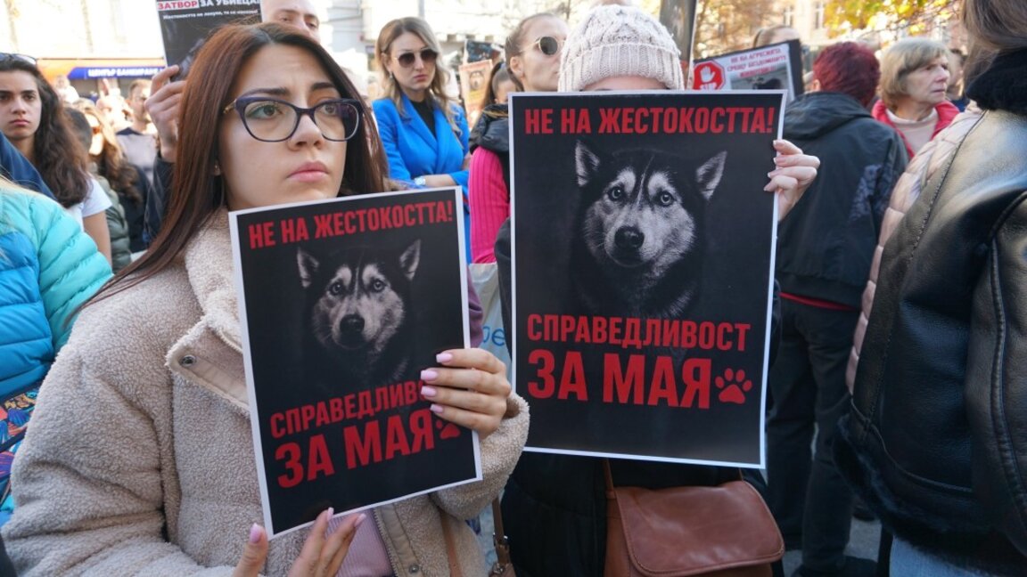 Протест срещу насилието над животните пред Съдебната палата в София на 15.11.2025 г.