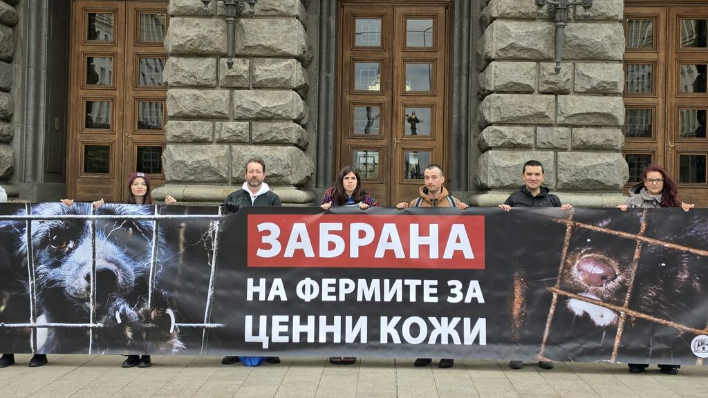 България на крачка от закон за забрана на фермите за кожи