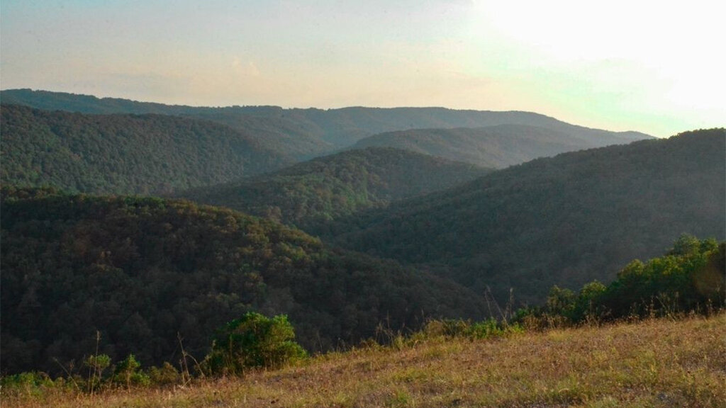Classiques de légende : "Strati disait à Anguélaki"