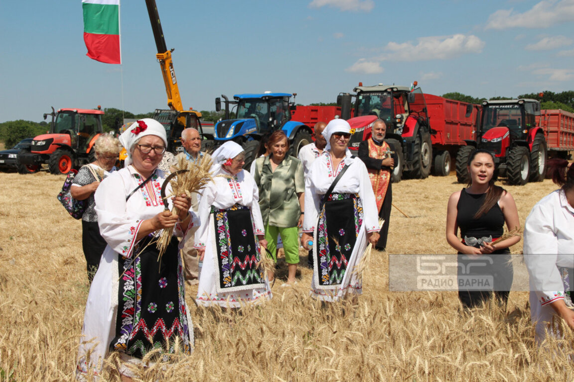 С надежда за пшеницата стартира жътвата в Дропла и с тревога за пролетниците