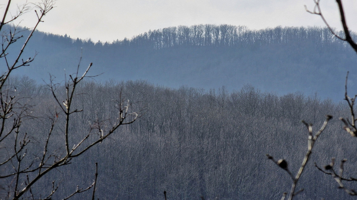 Прогноз погоды на 19 февраля