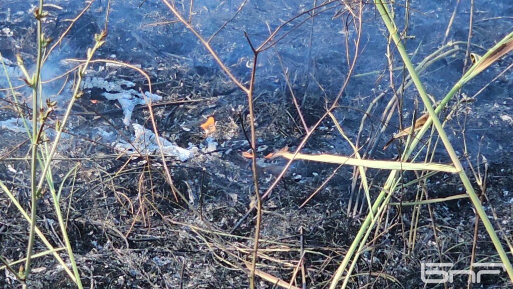 Четвърти ден продължава ликвидирането на пожара до летището край Балчик