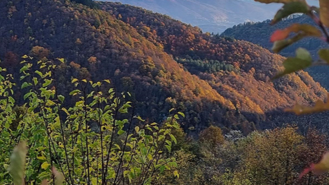 Hava durumu