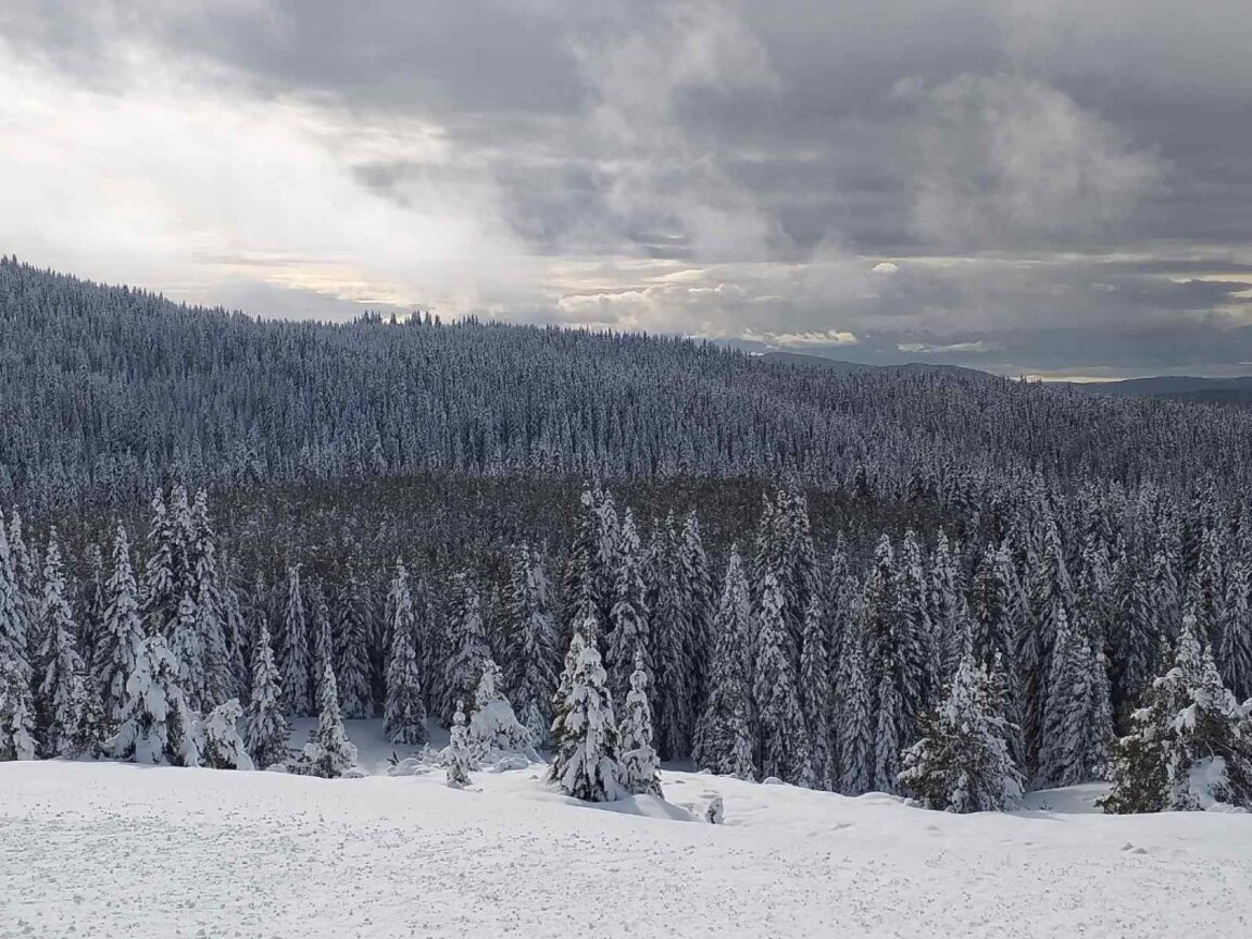 Снежна покривка на Белмекен, гъсти мъгли по високите части на Пазарджишко