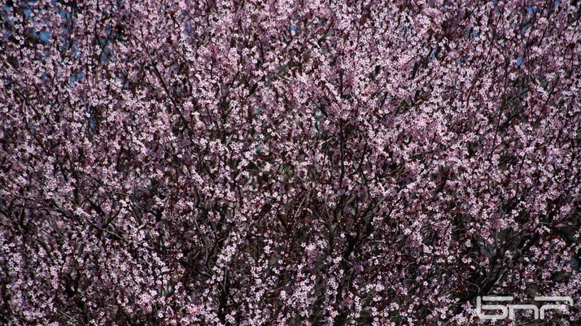 Hava durumu
