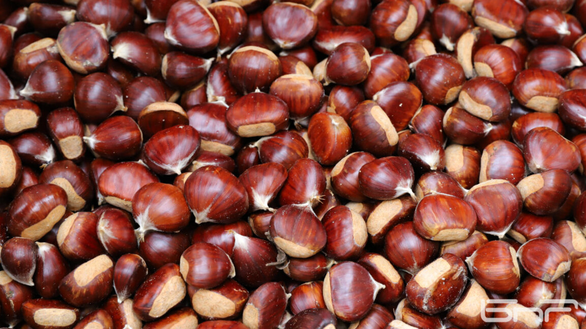 Foire à la châtaigne à Kolarovo...