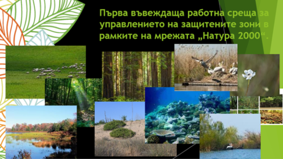 Работна среща в РИОСВ-Бургас за управлението на защитените зони по „Натура 2000“