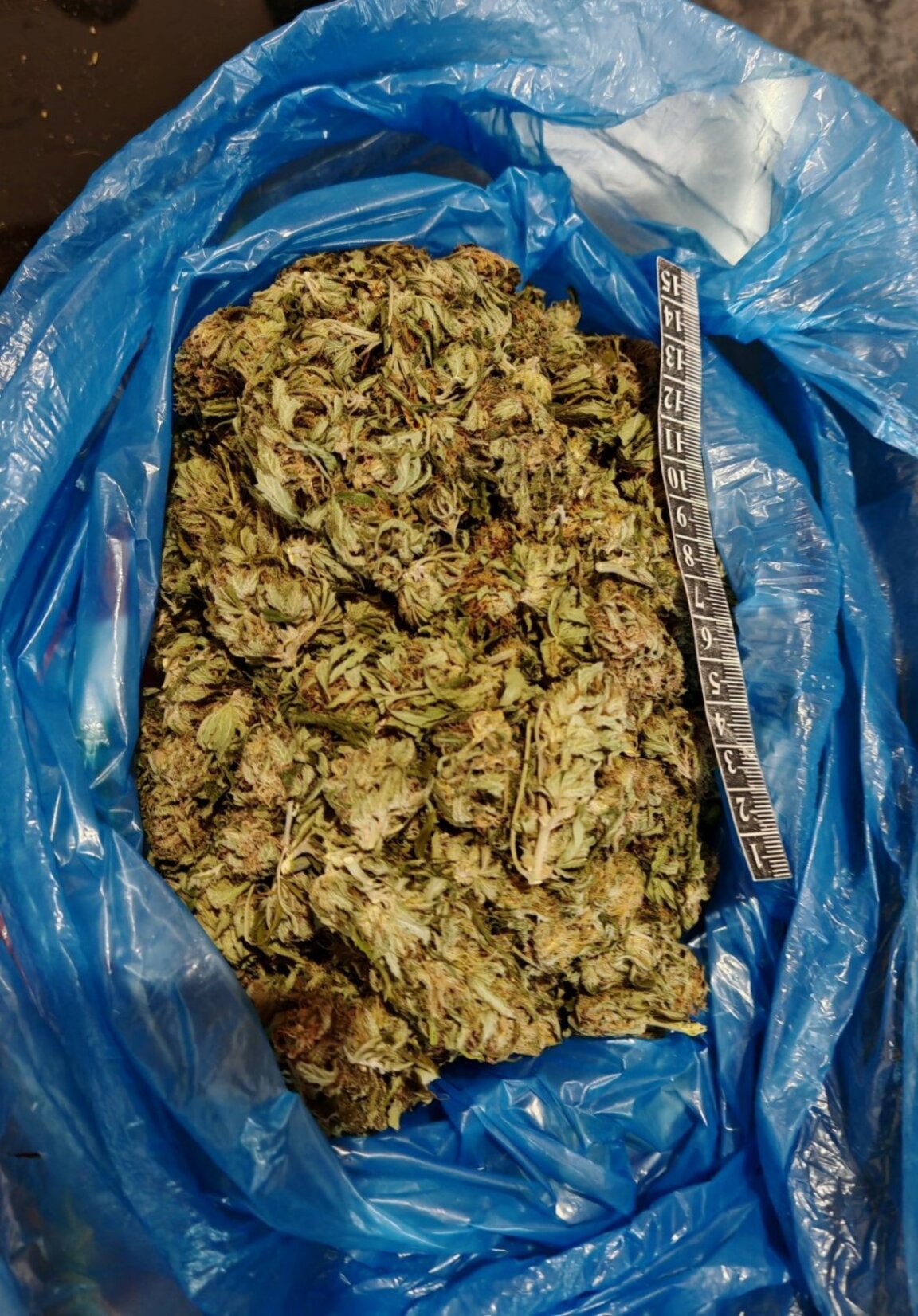 Близо 2 кг. марихуана иззеха при спецакция старозагорски криминалисти