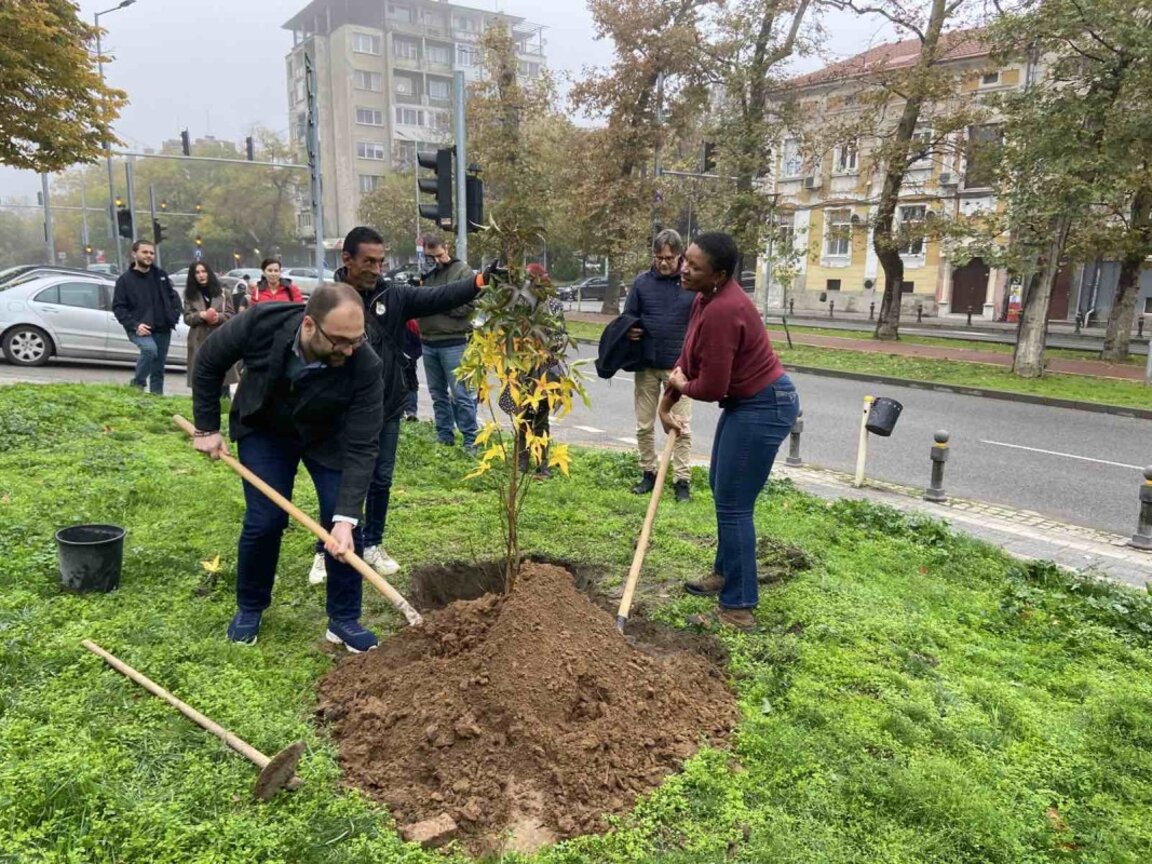 Световноизвестната джаз певица Лиз Райт посади дърво в Пловдив