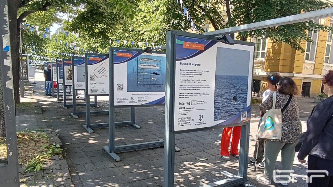 Фотоизложба на Христо Анестев разказва за есетрите и рибарите на Черно море